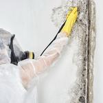 Lake Norman Mold Inspections - photo 1