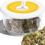 Lume Cannabis Co. - Grand Rapids, MI - photo 3