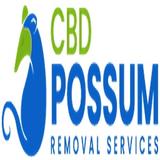 Possum Removal Adelaide