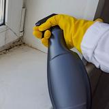 Jamaica Hill Mold Inspection Co - Home Inspectors in Lauderhill