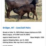 ConneXion Livestock - photo 1