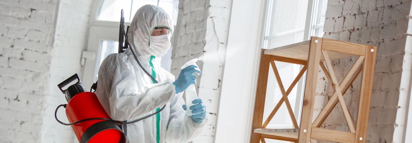 Tinseltown Mold Inspections cover photo