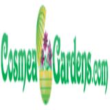 Cosmea gardens - Flowers & Gifts in Larnaca