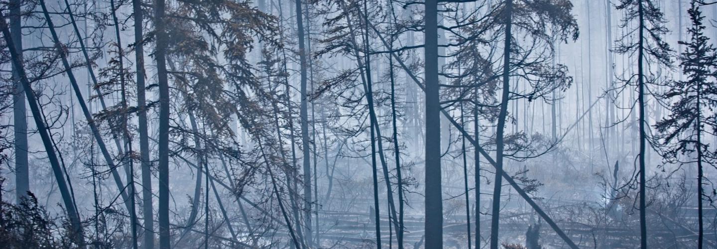 Garden Theatre Smoke Damage Experts cover photo