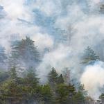 Garden Theatre Smoke Damage Experts - photo 2