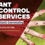 Atlantic Exterminating Inc - photo 1