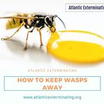 Atlantic Exterminating Inc - photo 2