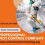 Atlantic Exterminating Inc - photo 3