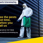 Atlantic Exterminating Inc - photo 5