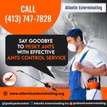 Atlantic Exterminating Inc - photo 9