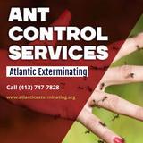 Atlantic Exterminating Inc - Pest Control in Ludlow