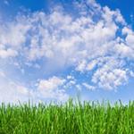 A-1 Klean Rite Janitorial - photo 2