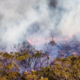 City of Lakes Smoke Damage Solutions - Home Services in Minneapolis