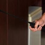 Pest Control In Hobart - photo 4