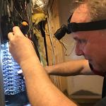 Old Line Home Inspections - photo 4