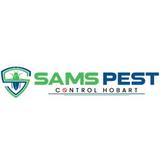 Spider Inspection Hobart - Pest Control in Hobart