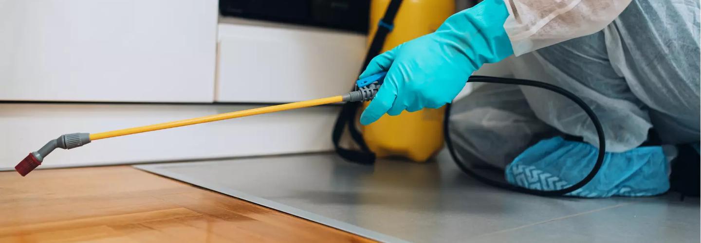 Exit Termite Control Adelaide cover photo