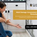 Classic Restoration & Reconstruction - photo 2