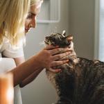 The Comforted Kitty - Sacramento - photo 3