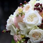 JVK Photography - photo 1