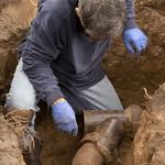 American Rooter & Drain - photo 4