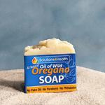 Solutions 4 Health - photo 6