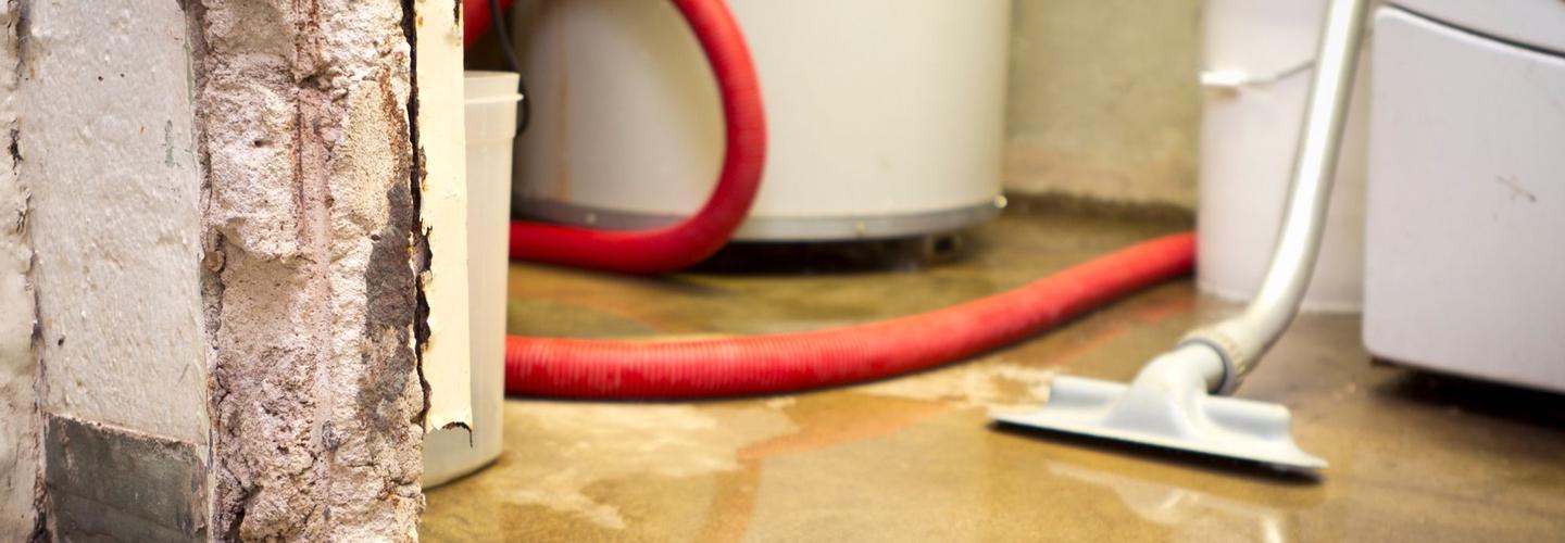 Burbank Water Damage cover photo