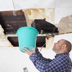 Burbank Water Damage - photo 2