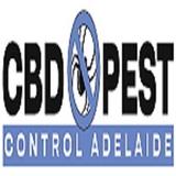 CBD Cockroach Control Adelaide