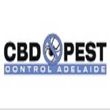 CBD Ant Control Adelaide - Pest Control in Adelaide