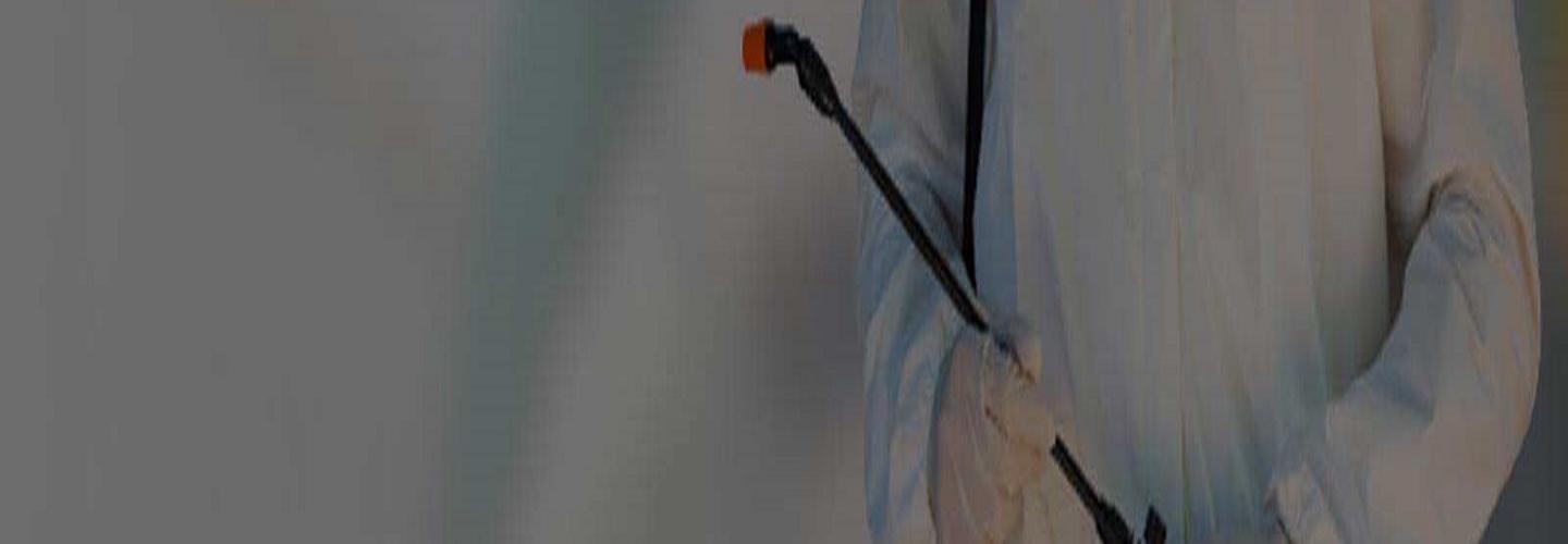 CBD Ant Control Adelaide cover photo