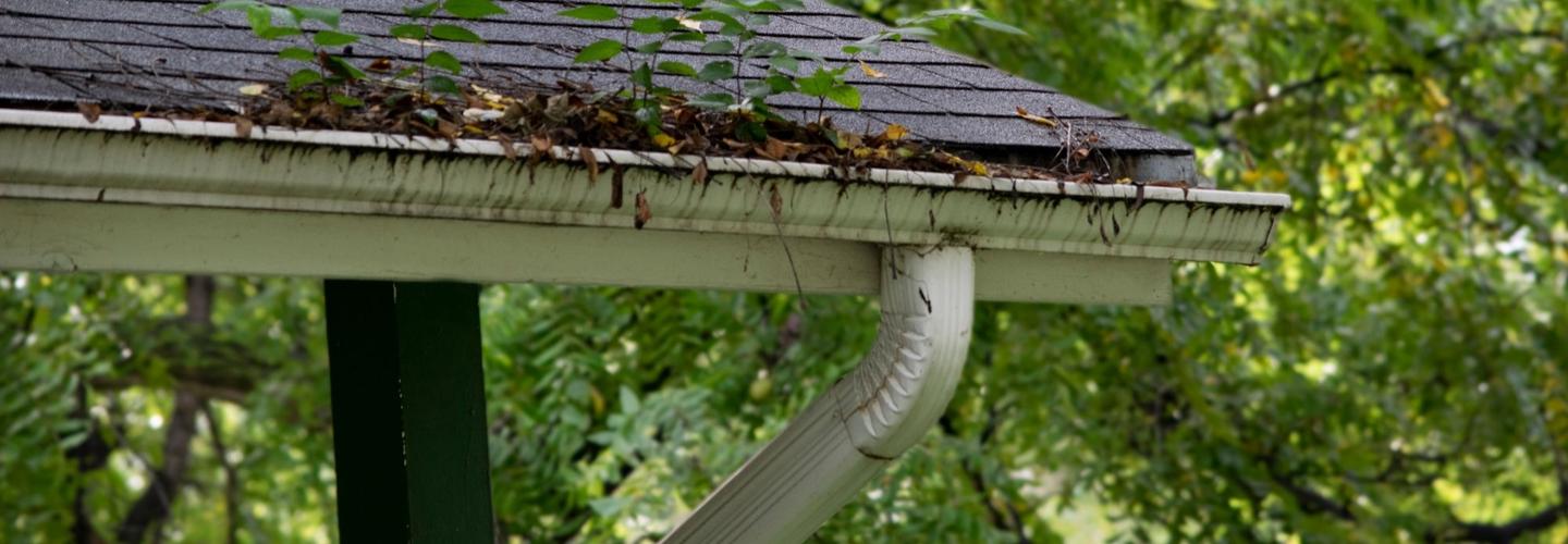 Venice of America Gutter Solutions cover photo