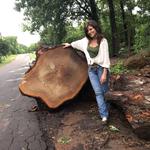 Texas Live Edge Slabwood - photo 8