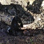 Jerry Collier Plumbing - photo 3