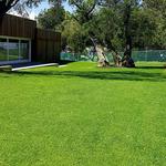 Lovegrove Turf Services - photo 1