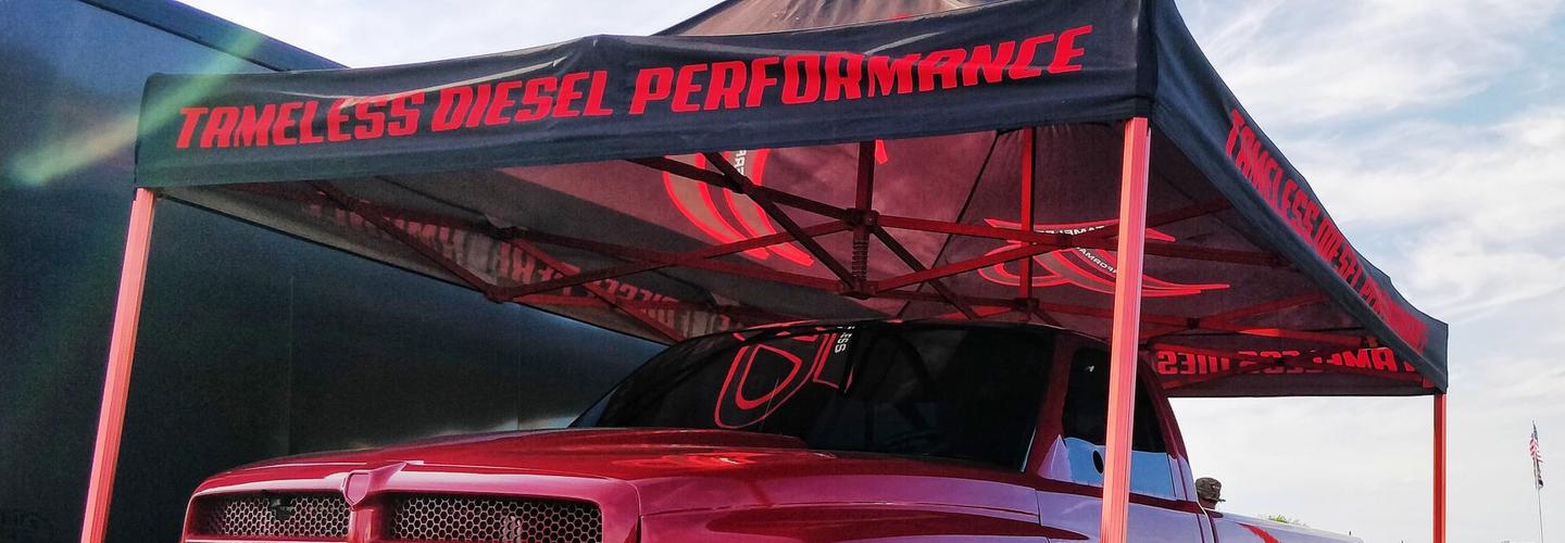 Tameless Performance cover photo