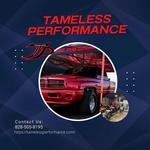 Tameless Performance - photo 2