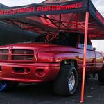 Tameless Performance - photo 3