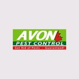Avon Pest Control Inc. - Professional Services in Vancouver