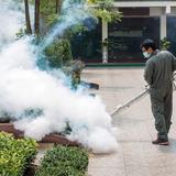 Museum City Pest Control Solutions - Pest Control in Cartersville