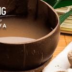 Green Turtle Kava Bar - St. Augustine - photo 3