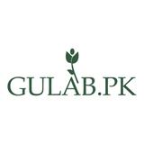 Gulab PK - Gardeners