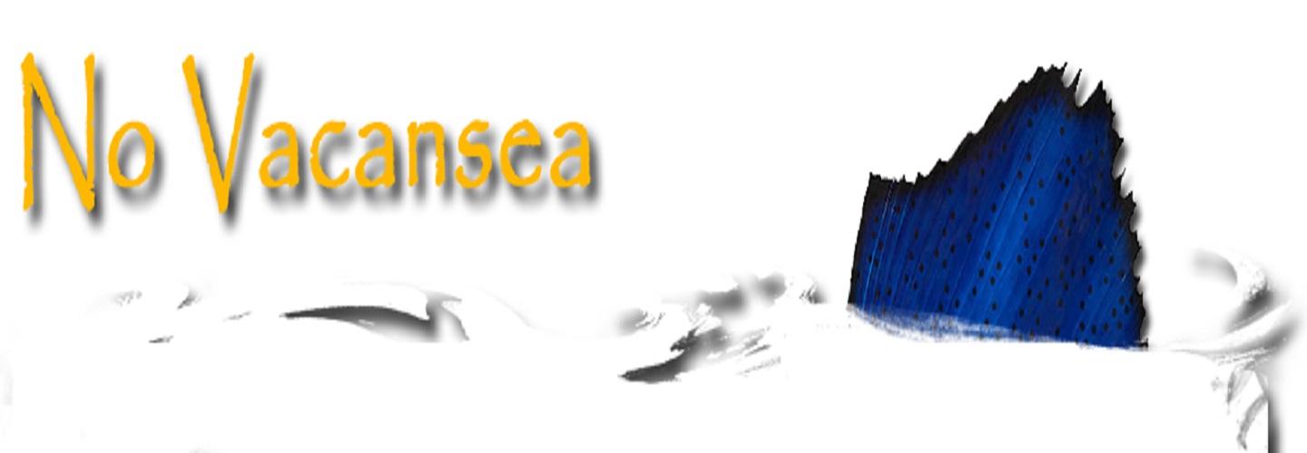 No Vacansea Fishing Charters cover photo