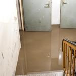 SERVPRO of Yonkers South - photo 2