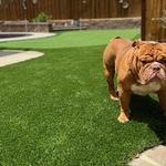 Artificial Grass Depots - photo 1