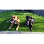 Artificial Grass Depots - photo 4