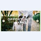 Opportunity Barks Behavior & Training - Pet Services in Philadelphia