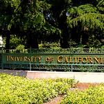 University Bridge | Undergraduate Pathway Program - photo 3