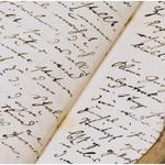 John Nazari - photo 2