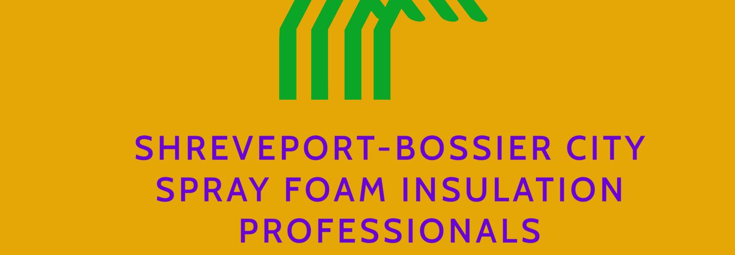Shreveport-Bossier City Spray Foam Insulation Professionals cover photo